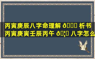 丙寅庚辰八字命理解 🍀 析书「丙寅庚寅壬辰丙午 🦁 八字怎么样」